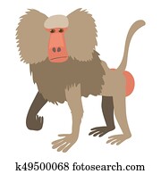 Baboon Illustrations | Our Top 160 Baboon Stock Art | Fotosearch