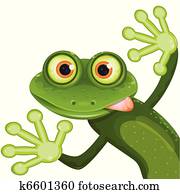frog frog