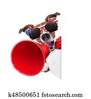 independence day 4th of july dog independence day 4th of july dog