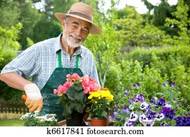 senior man gardening senior man gardening