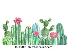 וואטארכולור, כאכטי, ו, בשרני