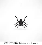 עכביש, איקון