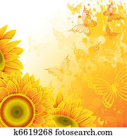 רקע, עם, חמניות