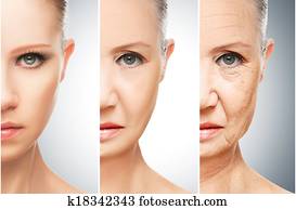concept of aging and skin care concept of aging and skin care