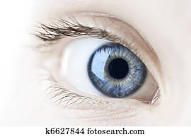Eye closeup