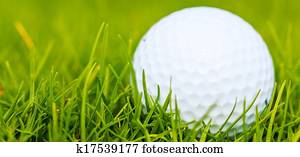 Golf course Golf course