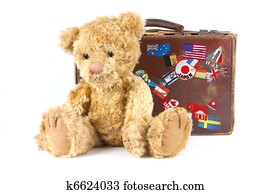 teddy in a suitcase