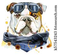 Watercolor portrait of bulldog Watercolor portrait of bulldog