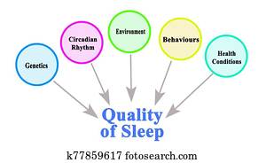 What Influence Quality of Sleep What Influence Quality of Sleep