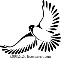Dove Dove