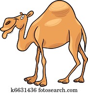 Camel Clip Art 