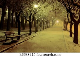 inverno, noite, a, parque