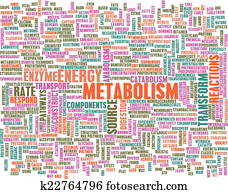 metabolism
