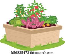 Vegetable Box Container Illustration Vegetable Box Container Illustration