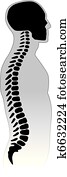 בן אנוש, spine.