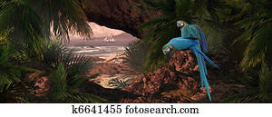 Parrots Of The Caribbean Parrots Of The Caribbean