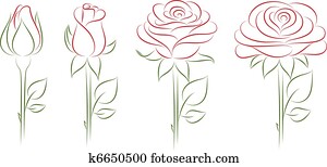 bluehende, roses. bluehende, roses.