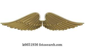 Bronze angel wings Bronze angel wings