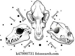 vektor, hund, skull., stich, stil vektor, hund, skull., stich, stil