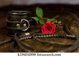 Whip, cuff and rose