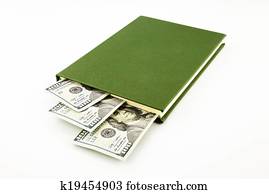 dollar money banknotes and book