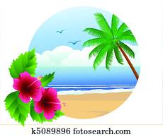 hawaiian beach hawaiian beach