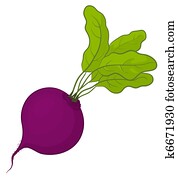 Beet with leaves Beet with leaves
