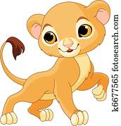bravos, filhote leão