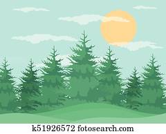 Summer forest Summer forest