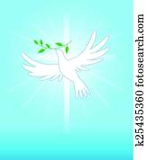 Dove Dove