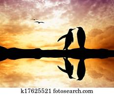 penguins at sunset penguins at sunset