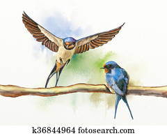 שני, רפת, בולע