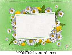 daisy card daisy card