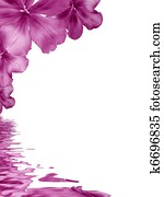 Flowers background reflecting in water