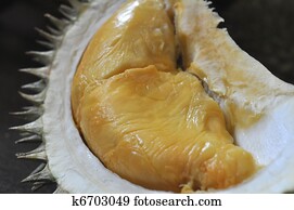 Creamy Durian