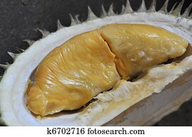 Delicious creamy durian