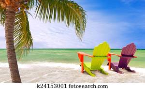 praia miami, flórida