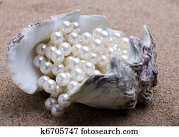 The exotic sea shell with a pearl beads lies on sand