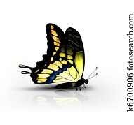 yellow butterfly