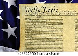 헌법, 의, 미국
