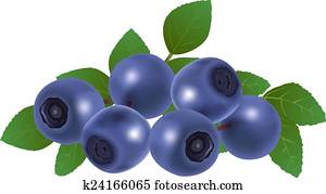 Blueberries