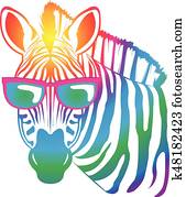 cool Zebra cool Zebra