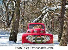 dogs in red Christmas truck dogs in red Christmas truck