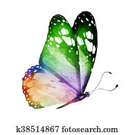 Watercolor butterfly , isolated on white Watercolor butterfly , isolated on white