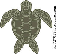 Green Sea Turtle Green Sea Turtle