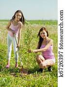mãe, e, menina adolescente, plantando árvore