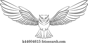 owl owl