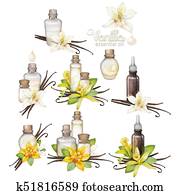 Watercolor vanilla oil collection Watercolor vanilla oil collection