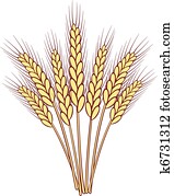 bunch of vector wheat ears bunch of vector wheat ears