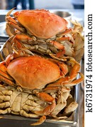 Dungeness crabs Dungeness crabs